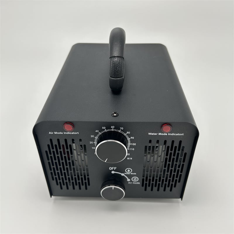 Portable 110V 220V 20g Household Ozone Generator Machine 