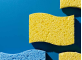 Biodegradable Sponges: Trends in Facility Maintenance