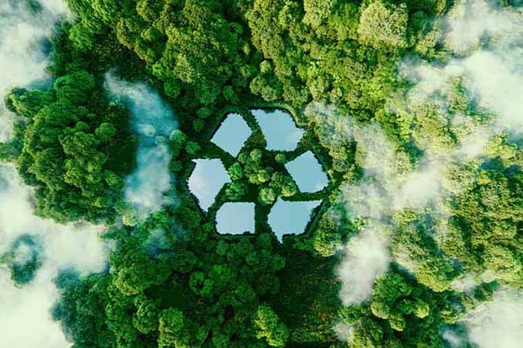 Eco-Conscious Solutions