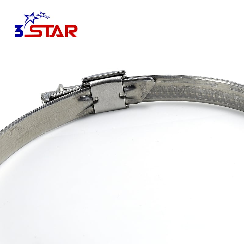 Aleman na Walang Ngipin na Panloob na Bandang Offset na Hose Clamp