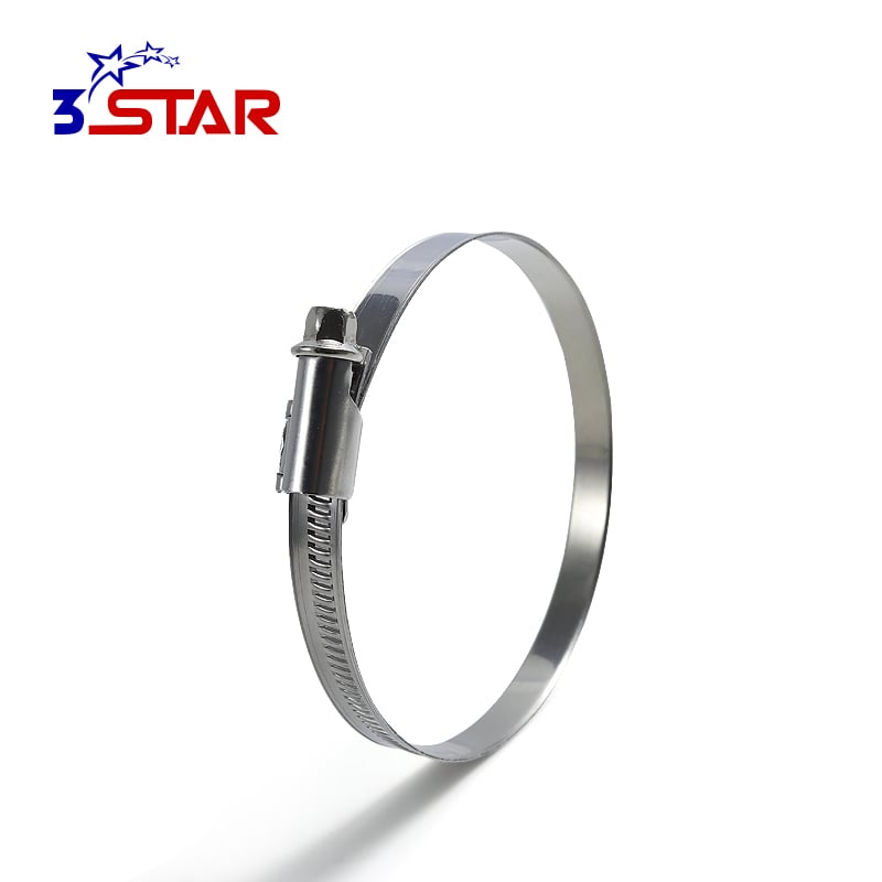 Aleman na Walang Ngipin na Panloob na Bandang Offset na Hose Clamp