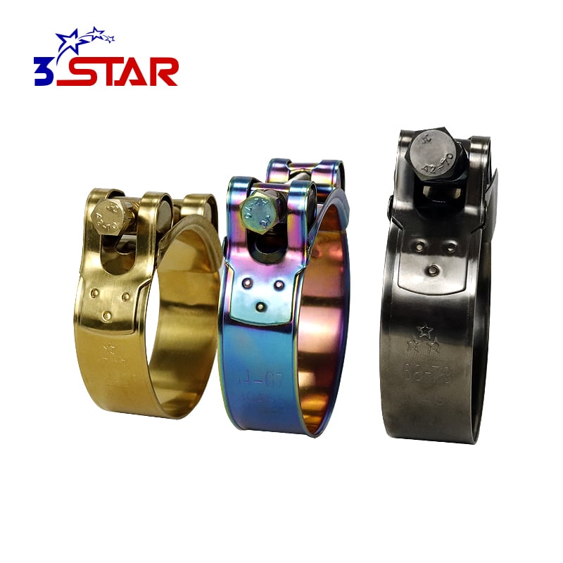 European Type Titanium Plating Hose Clamps (1 ).jpg