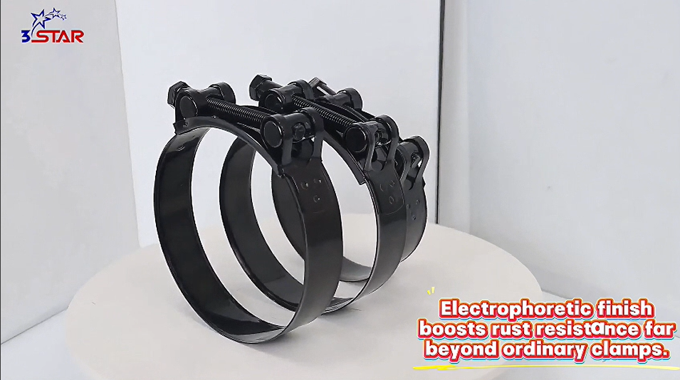 European Type Electrophoretic Hose Clamps