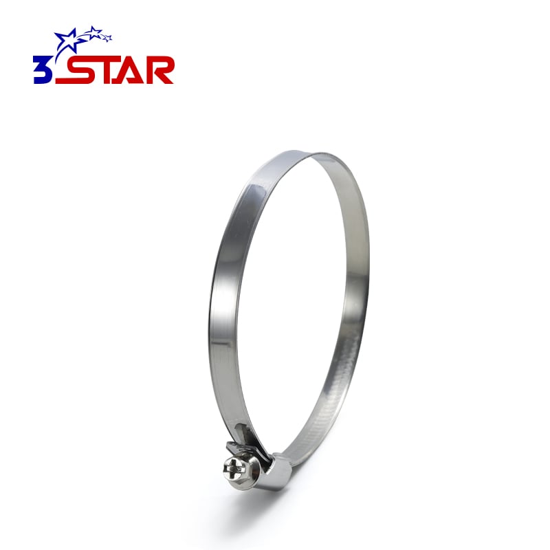 Aleman na Walang Ngipin na Panloob na Bandang Offset na Hose Clamp