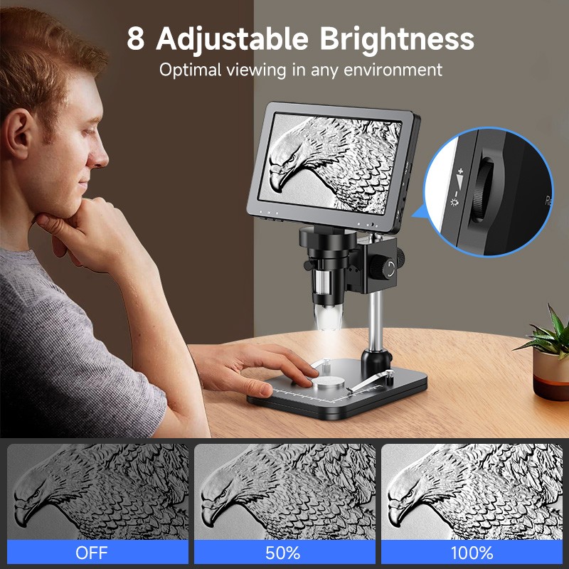 How to Use a Coin Microscope: Tips for Collectors