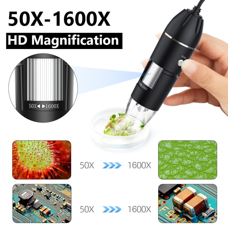 5 Creative Uses for Your Digital Handheld Microscope