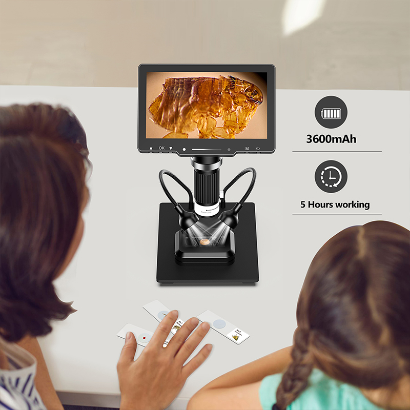 Digital Microscope Camera Basics: A Beginner's Guide