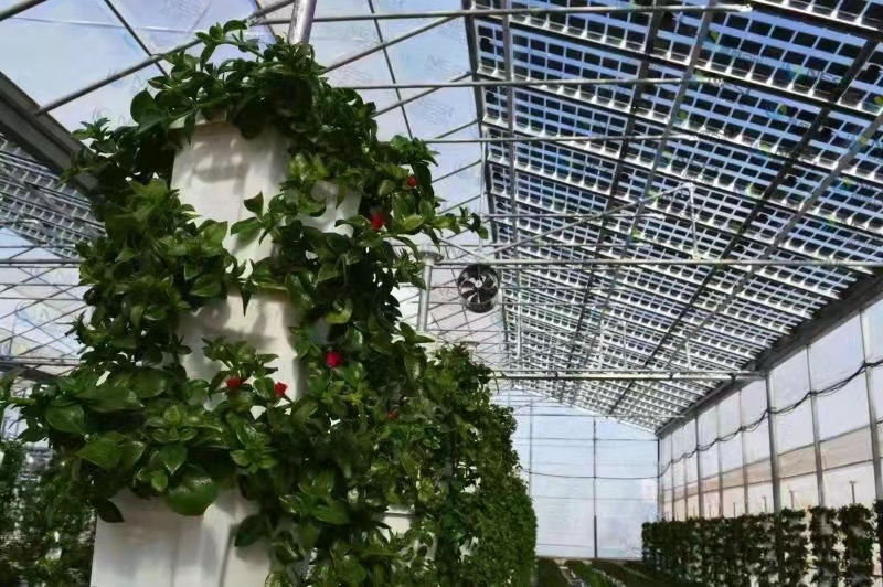 Which solar panels offer the best durability in extreme industriaclimates?