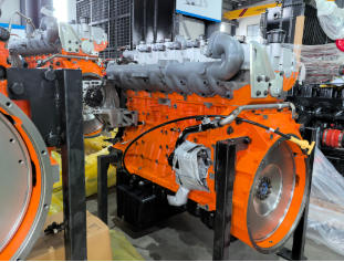 Was macht einen leichten Biogas-Generator einfach zu transportieren?