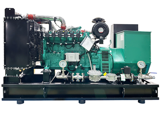 How to Troubleshoot Biogas Generator Set Issues?