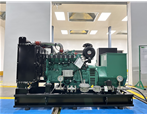 Koje veličine standby generator prirodnog plina može biti u srednjoj postrojenju?