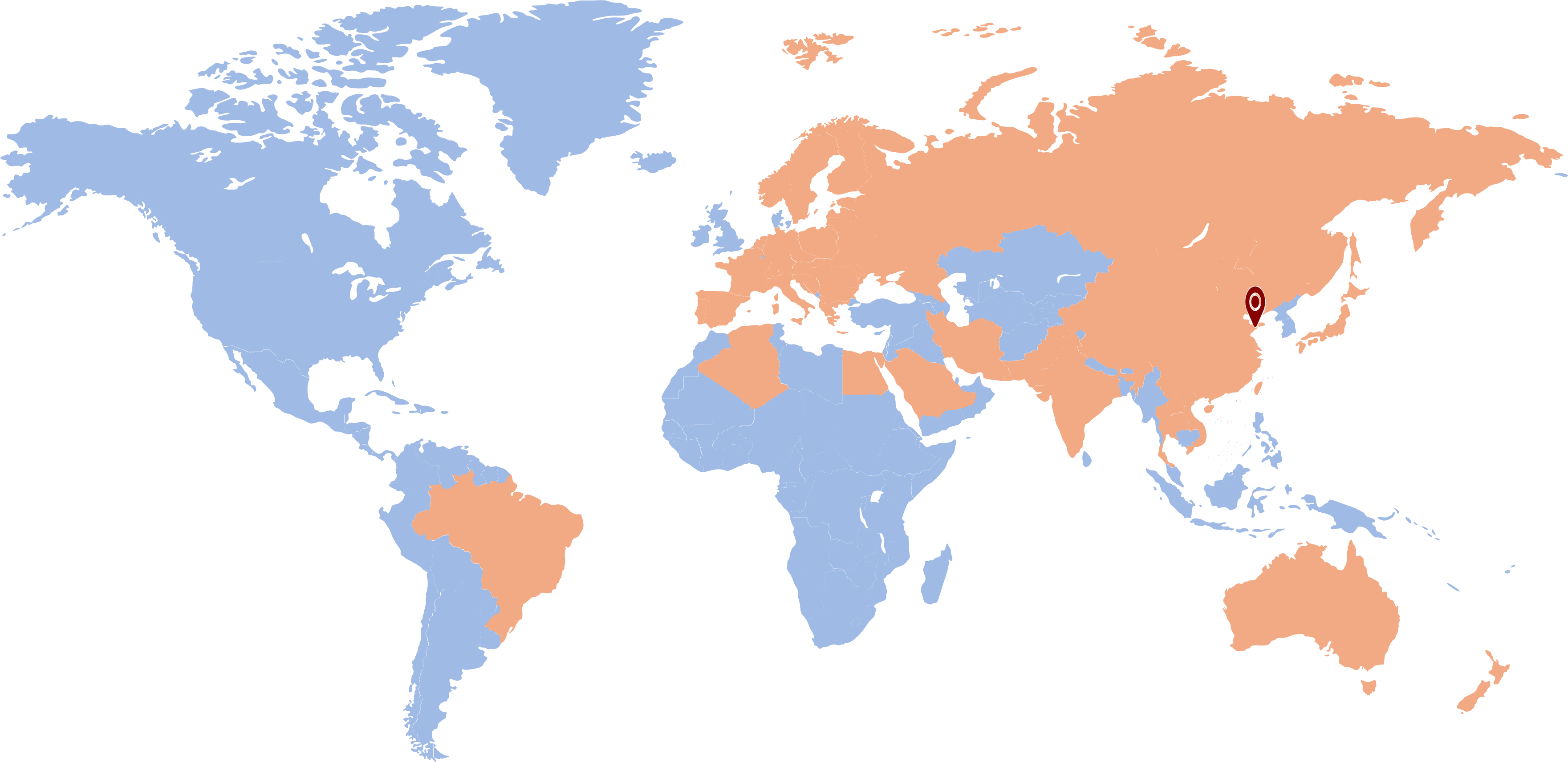 Küresel İş Ağımız