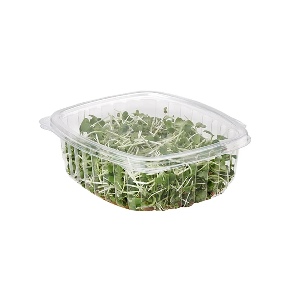 The Role of Clamshell Containers in Modern Takeout Packaging