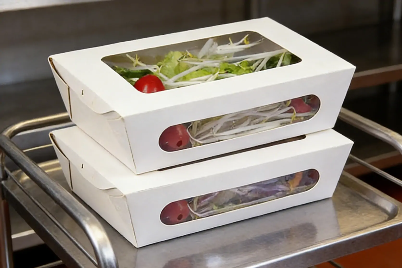Two Window Lunch Box