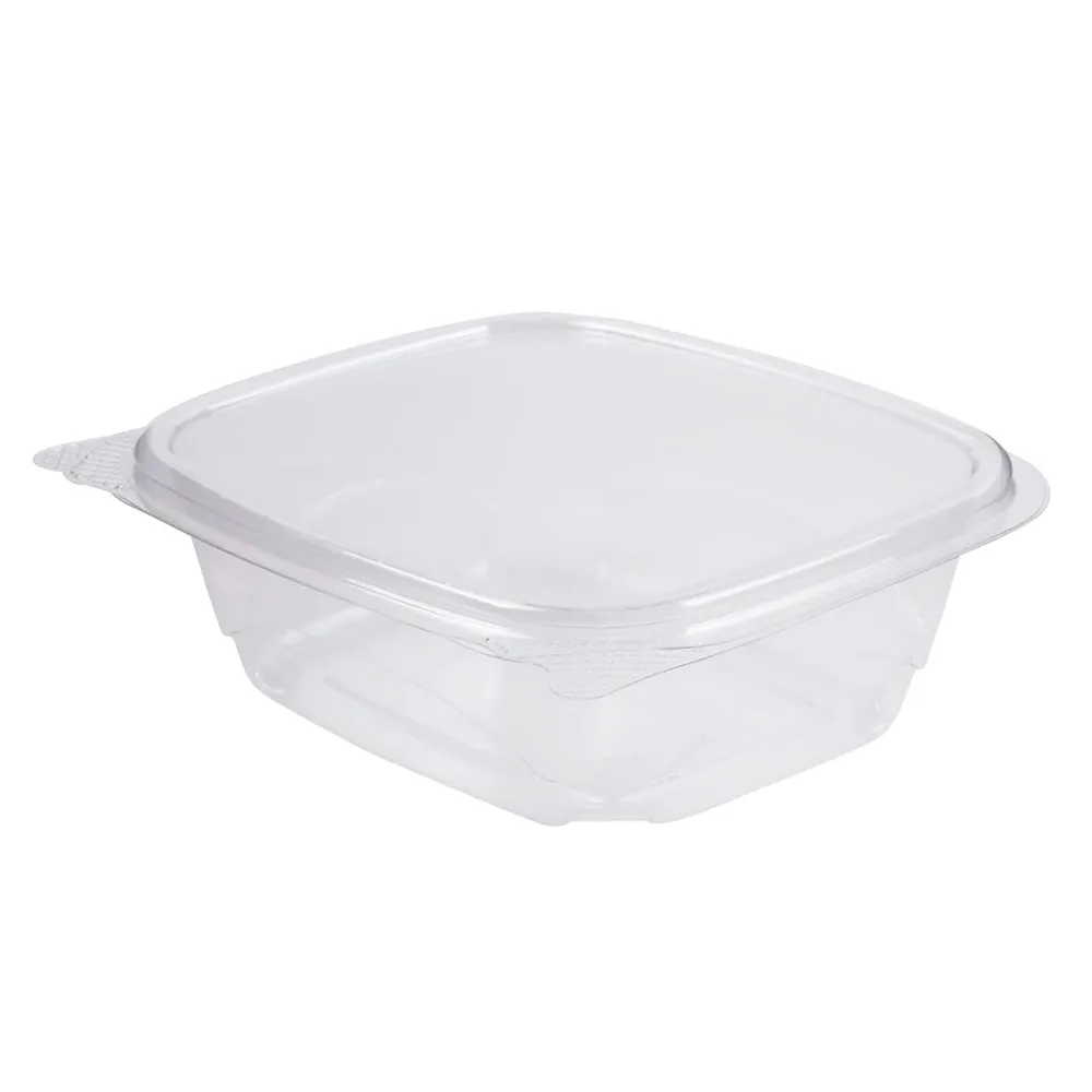Plastic Containers for Food in Takeaway and Delivery Packaging