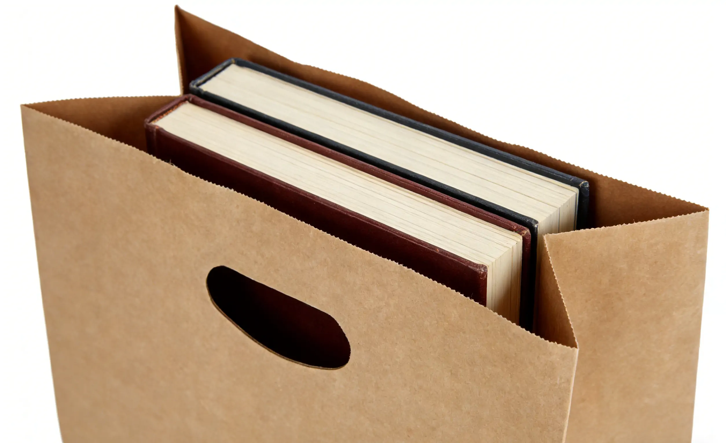 Paper Bag