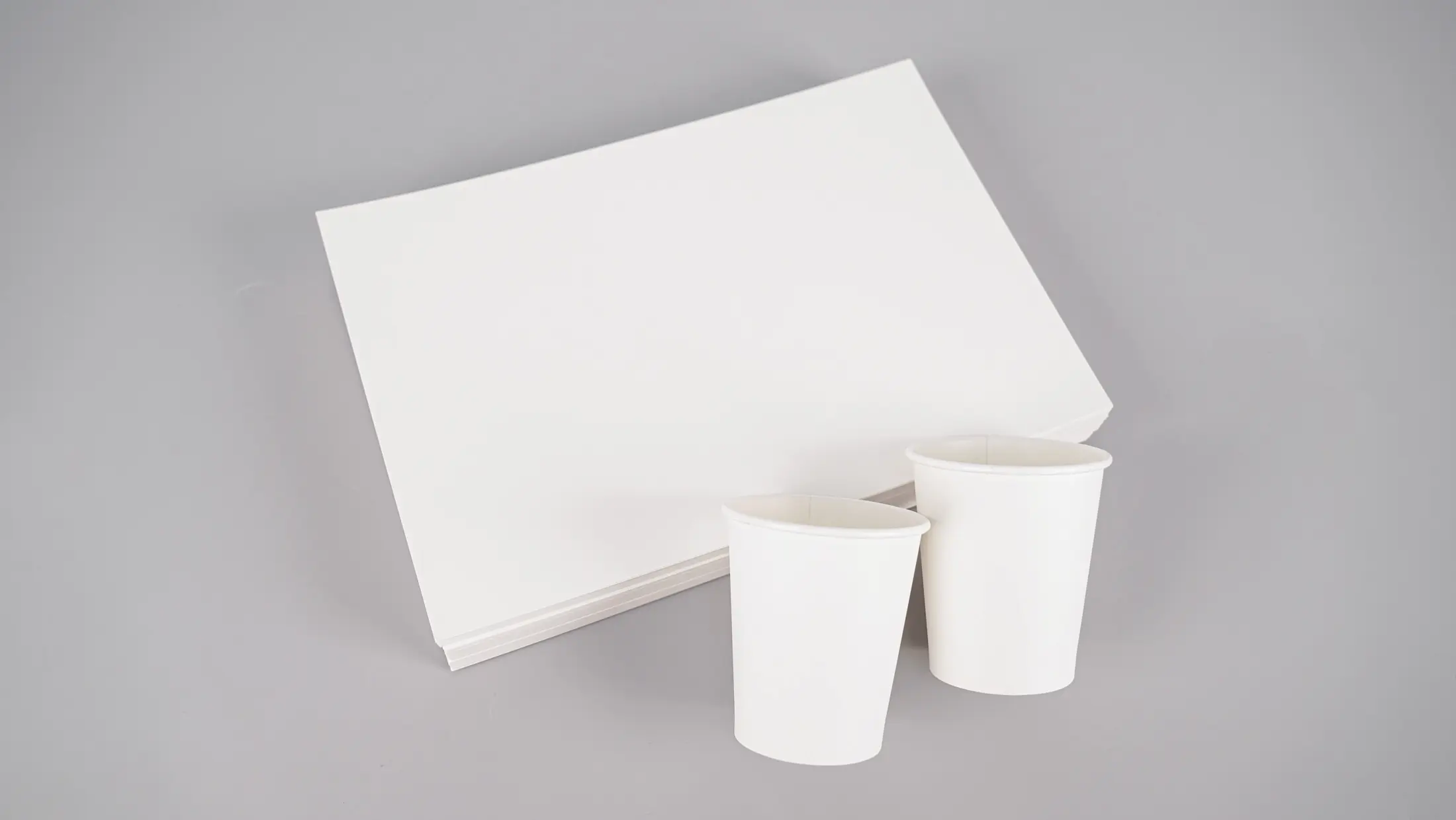 How Consumer Sustainability Awareness Shapes Paper Cup Demand