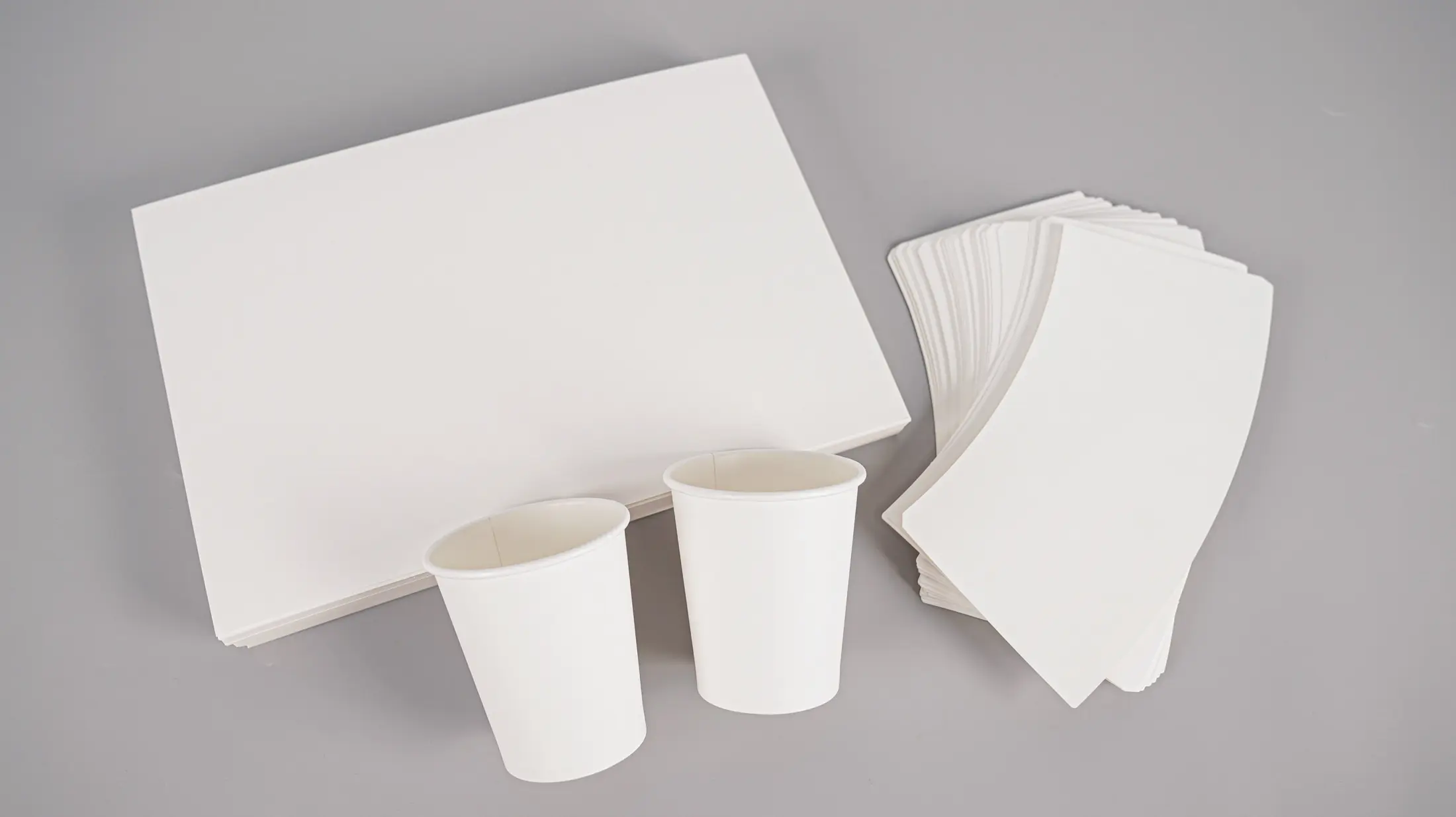 BPA-Free Plastic Containers for Food: What Buyers Should Know