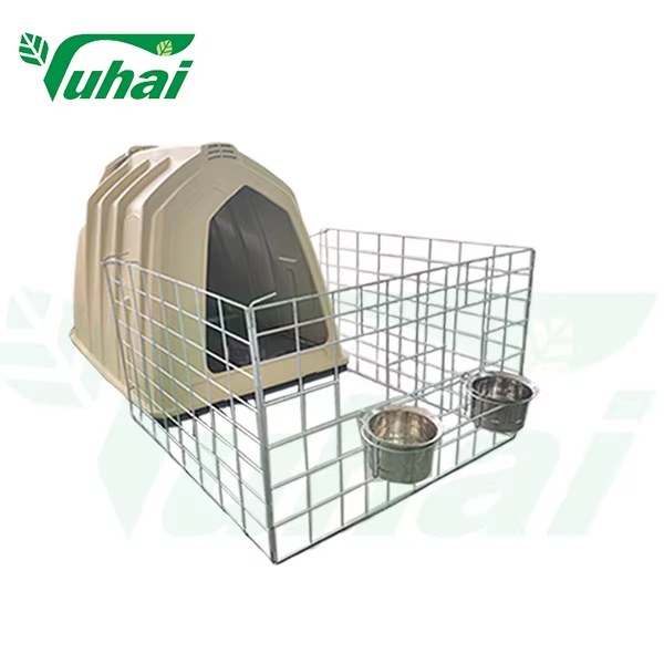 How Calf Hutches Contribute to Better Biosecurity and Calf Comfort