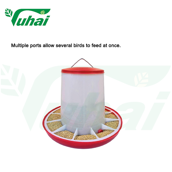 What Are the Different Types of Chicken Feeders for Backyard and Commercial Farms?