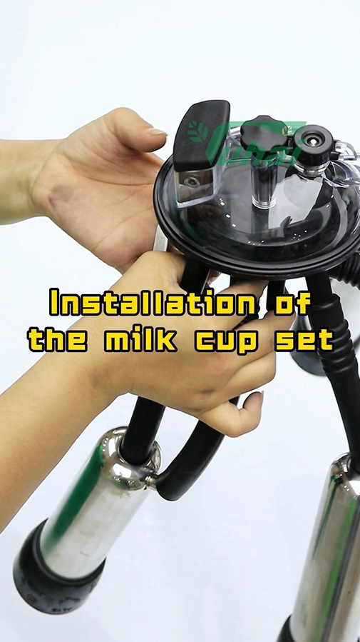 Milking Machine Cluster Assembly Demonstration