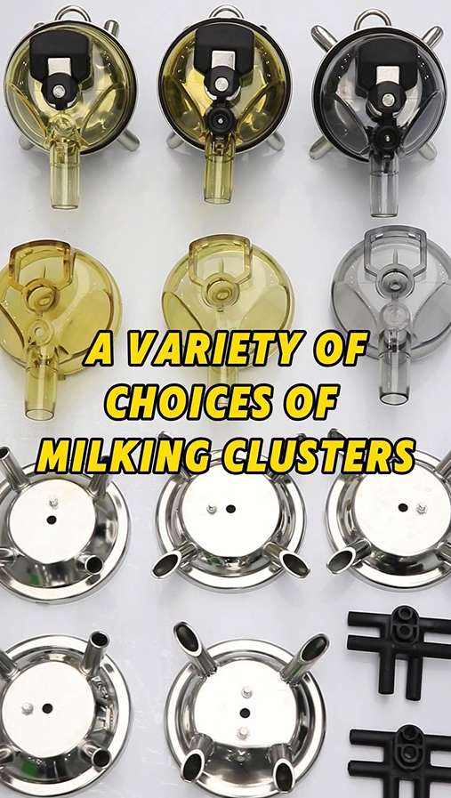 Recommended Milk Collectors for Milking Machines