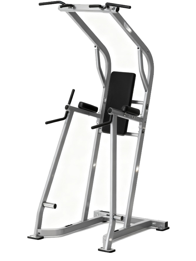 FW-8082 Chin/Dip?leg Raise Size: 122*111*233cm Weigh: 235 Ibs (106.6kg)