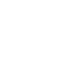 Professional Team