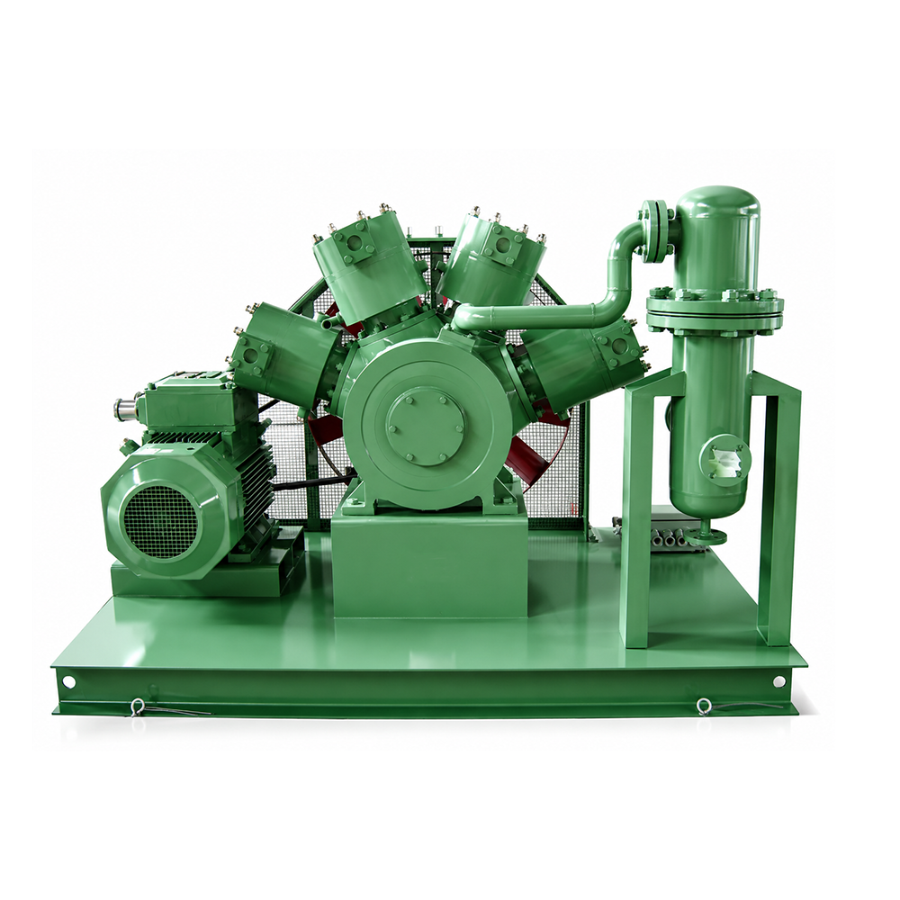 Oil-Free Fluoride Gas Compressor