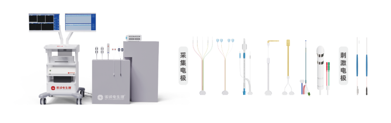 Reviewing Clinical Exchange, Electrophysiology Innovation and Cooperation Pathways