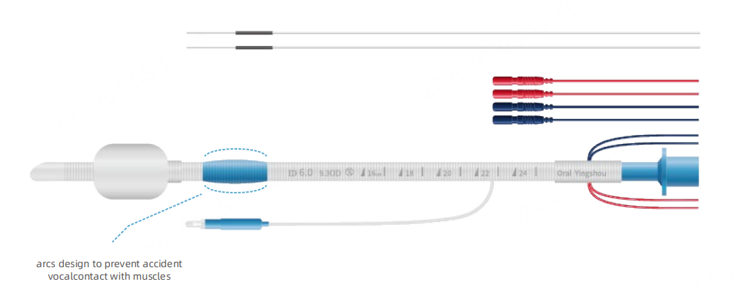 Endotracheal tube details