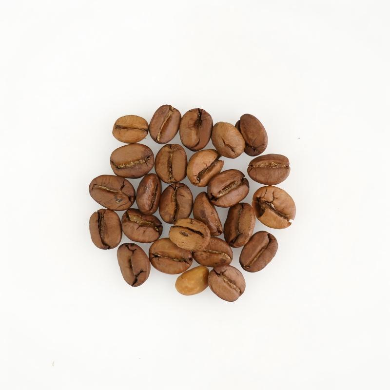 roasted coffee bean-2