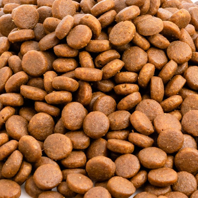 Pet Feed
