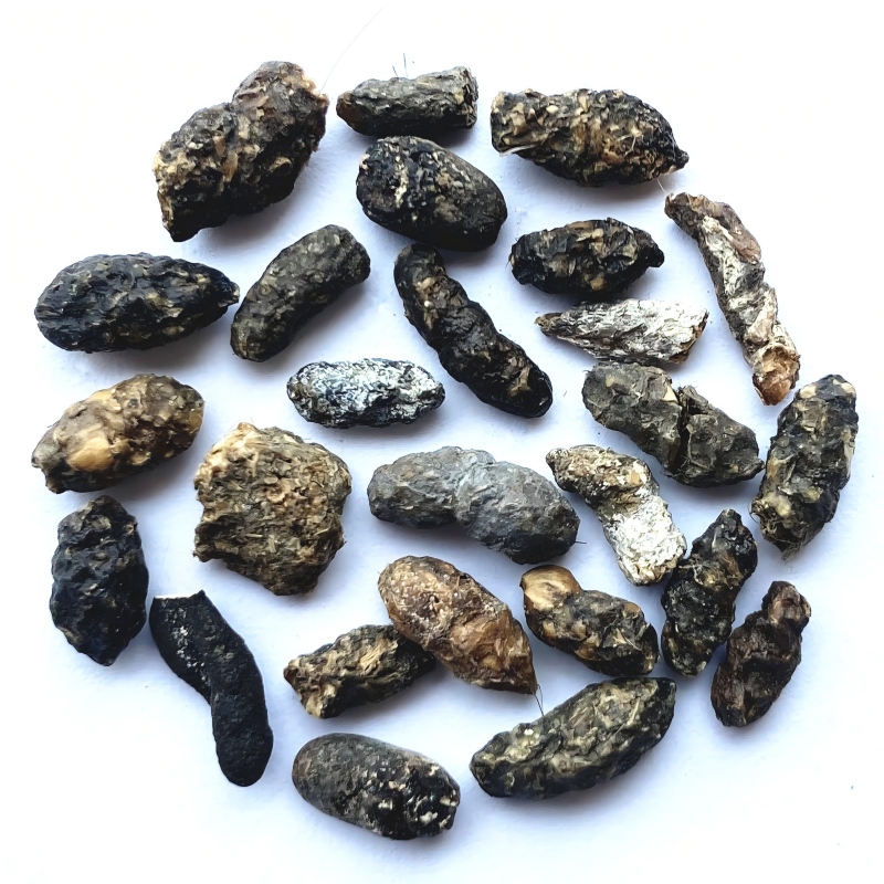 red rice-13
