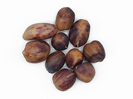 peanut-14