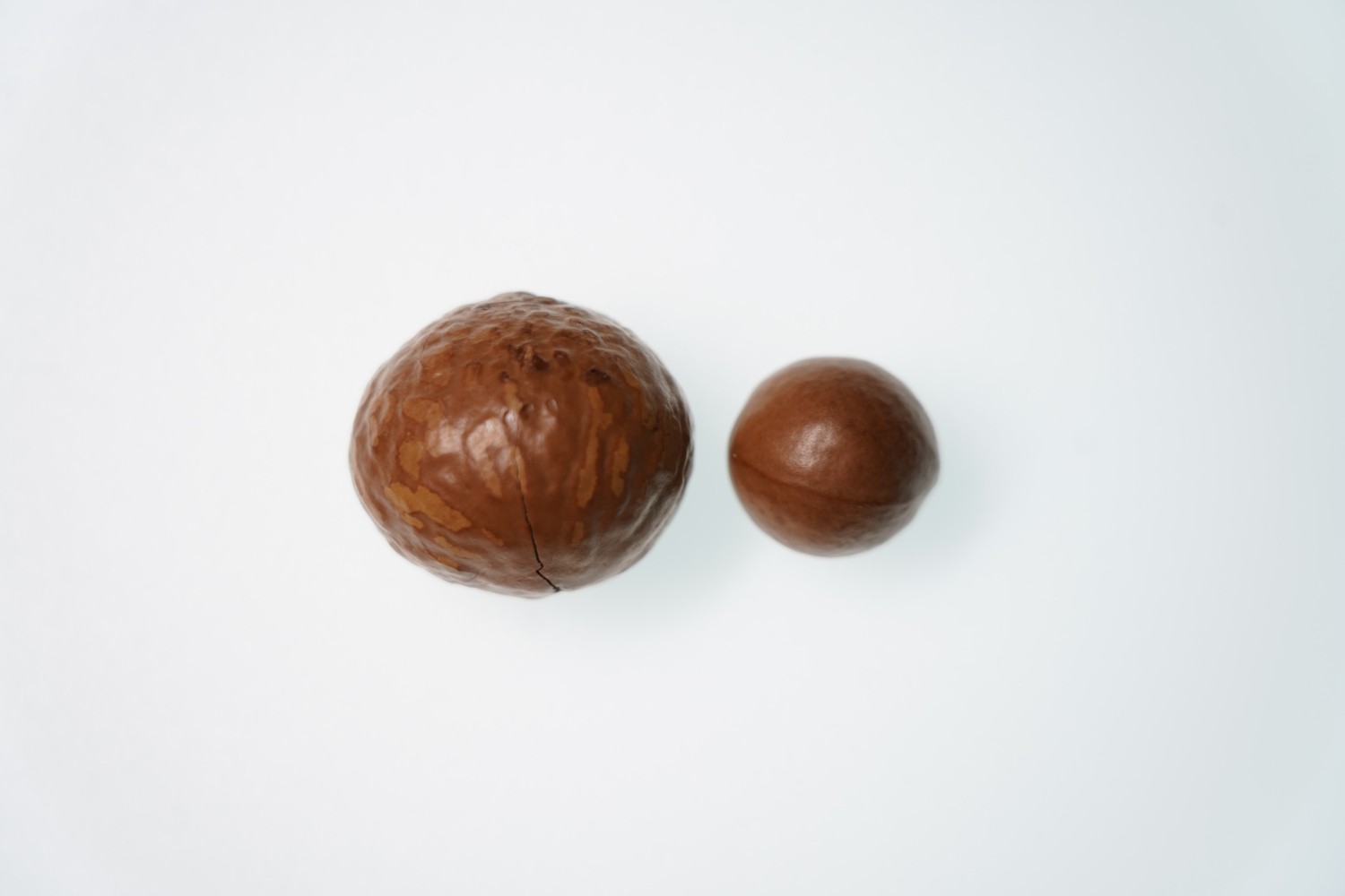 imgi_6_Large %26 Small.jpg