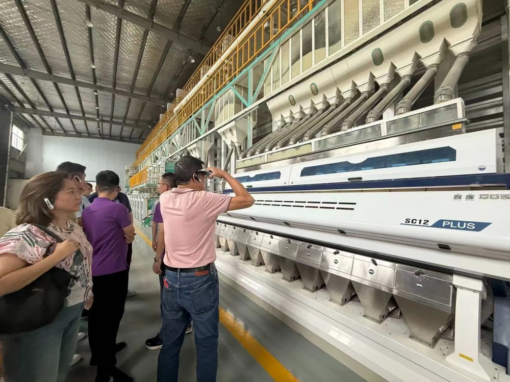 ANYSORT Rice Quality Sorter Revolutionizes Traditional Rice Processing, Empowering Vietnamese Rice Mills to Achieve Rapid Growth