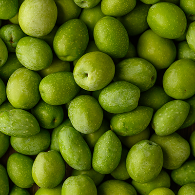 Fresh Olive