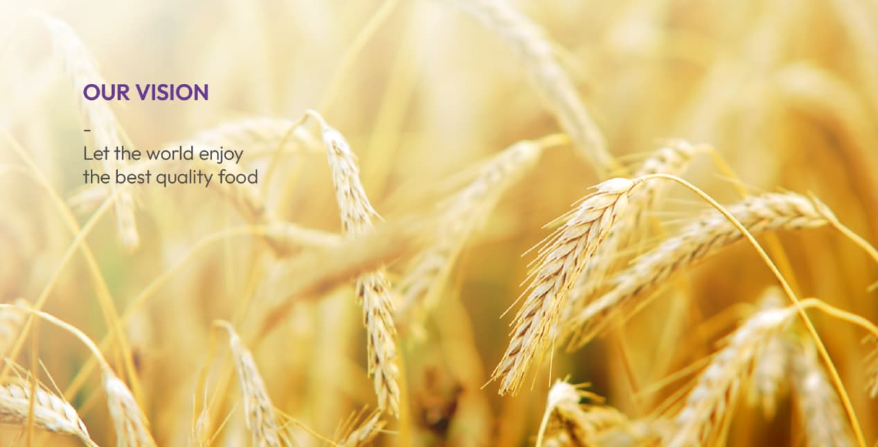 Our Vision: Let the world enjoy the best quality food