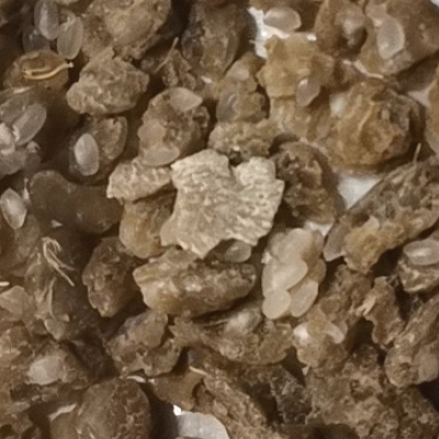 Bran Ball.png