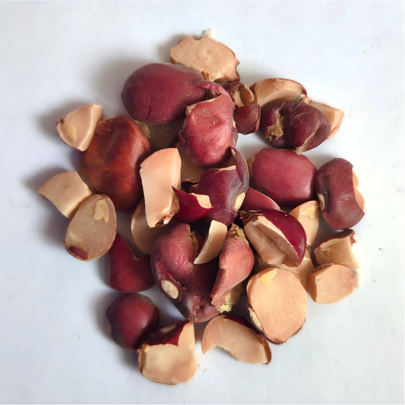red kidney bean-0