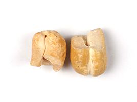 cashew-3