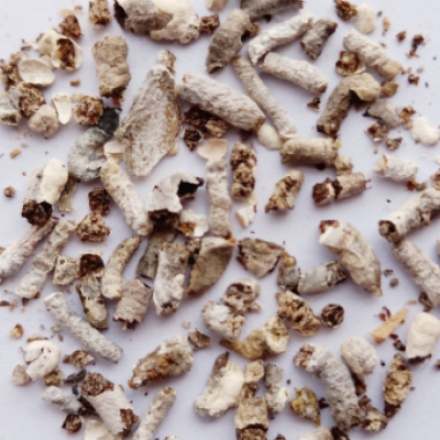 Animal Waste.png
