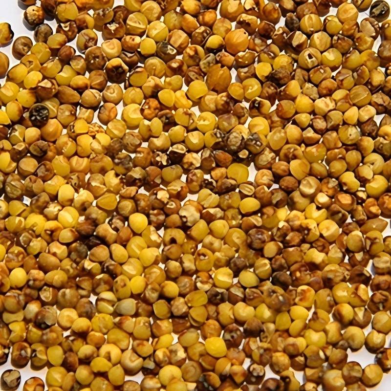 millet-2