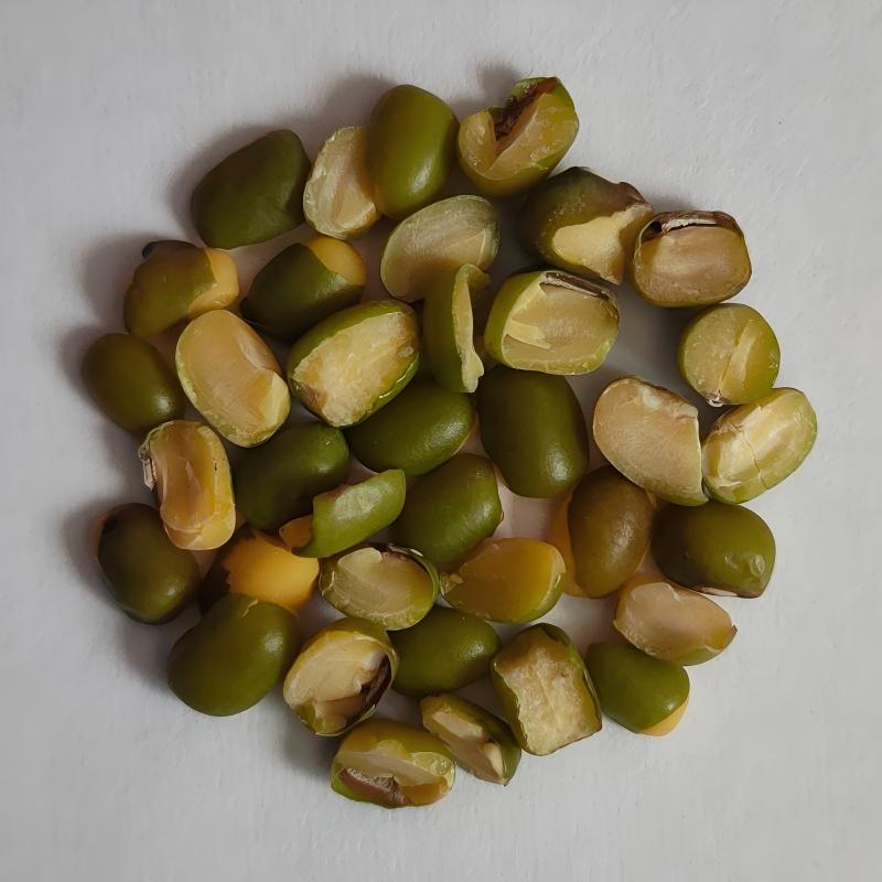 mung bean-0