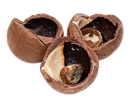 macadamia-0