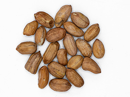 peanut-16