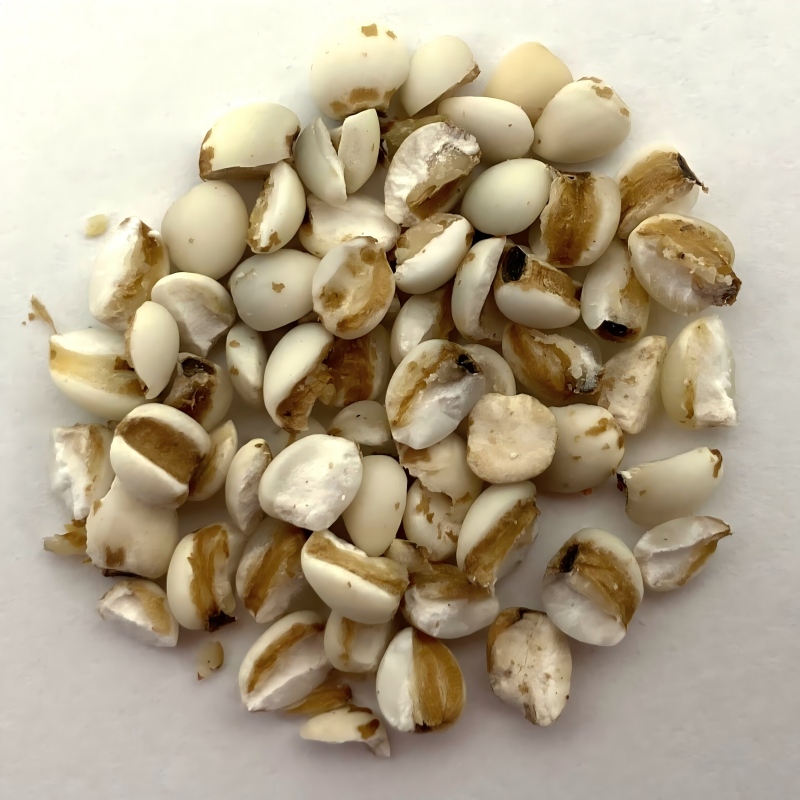 Kukuruzový ječmen (Coix seed)
