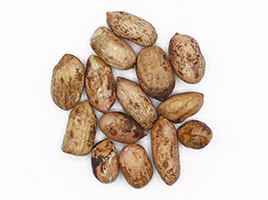 peanut-17