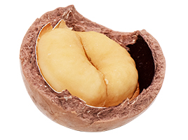 macadamia-4